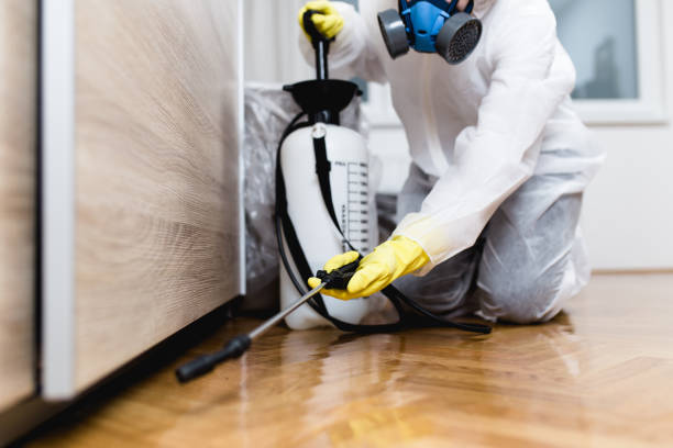 Best Best Pest Control Companies  in East Hazel Crest, IL