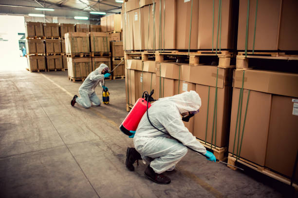 Best Affordable Pest Control Services  in East Hazel Crest, IL