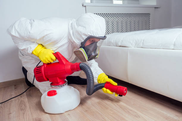Best Local Pest Control Services  in East Hazel Crest, IL