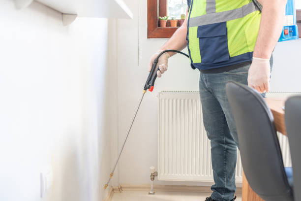 Best Exterminator Services  in East Hazel Crest, IL