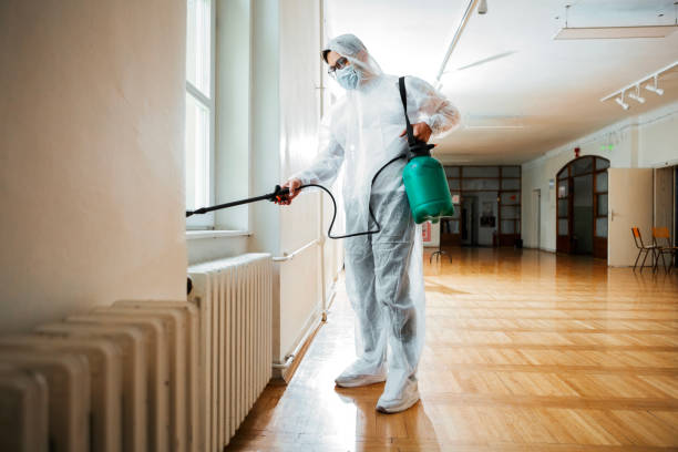 Best Affordable Pest Control Services  in East Hazel Crest, IL